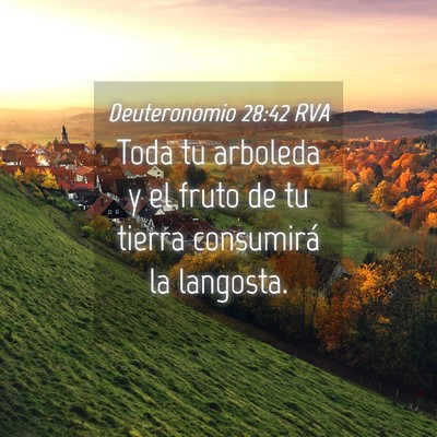 Picture 04 - Deuteronomio 28:42 RVA - Toda tu arboleda y el fruto de tu tierra - Bible Verse Picture