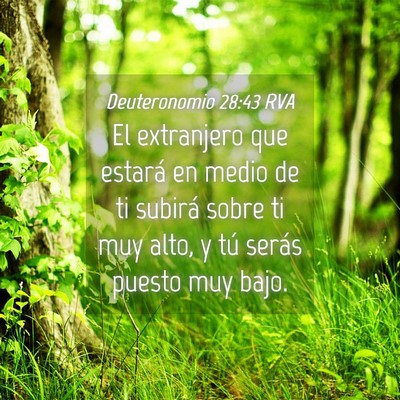 Picture 04 - Deuteronomio 28:43 RVA - El extranjero que estará en medio de ti subirá - Bible Verse Picture