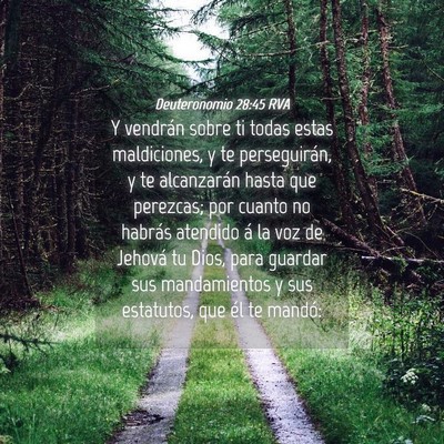 Picture 04 - Deuteronomio 28:45 RVA - Y vendrán sobre ti todas estas maldiciones, y te - Bible Verse Picture