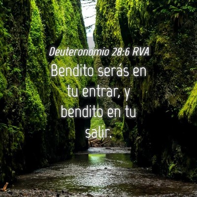 Picture 04 - Deuteronomio 28:6 RVA - Bendito serás en tu entrar, y bendito en tu - Bible Verse Picture