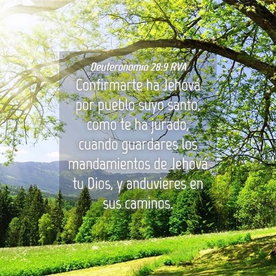 Picture 04 - Deuteronomio 28:9 RVA - Confirmarte ha Jehová por pueblo suyo santo, - Bible Verse Picture