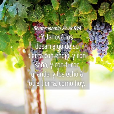 Picture 04 - Deuteronomio 29:28 RVA - Y Jehová los desarraigó de su tierra con enojo, - Bible Verse Picture