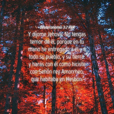 Picture 04 - Deuteronomio 3:2 RVA - Y díjome Jehová: No tengas temor de él, porque - Bible Verse Picture