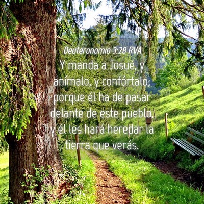 Picture 04 - Deuteronomio 3:28 RVA - Y manda a Josué, y anímalo, y confórtalo; - Bible Verse Picture