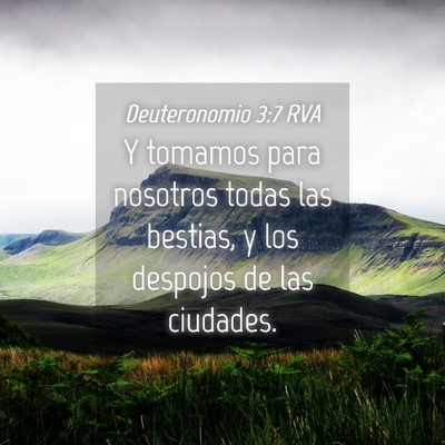 Picture 04 - Deuteronomio 3:7 RVA - Y tomamos para nosotros todas las bestias, y los - Bible Verse Picture