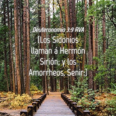 Picture 04 - Deuteronomio 3:9 RVA - (Los Sidonios llaman á Hermón Sirión; y los - Bible Verse Picture