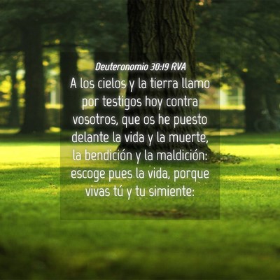 Picture 04 - Deuteronomio 30:19 RVA - A los cielos y la tierra llamo por testigos hoy - Bible Verse Picture