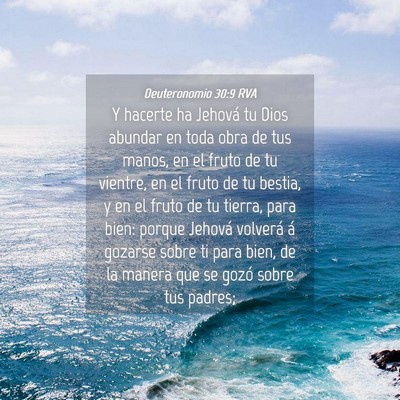 Picture 04 - Deuteronomio 30:9 RVA - Y hacerte ha Jehová tu Dios abundar en toda obra - Bible Verse Picture