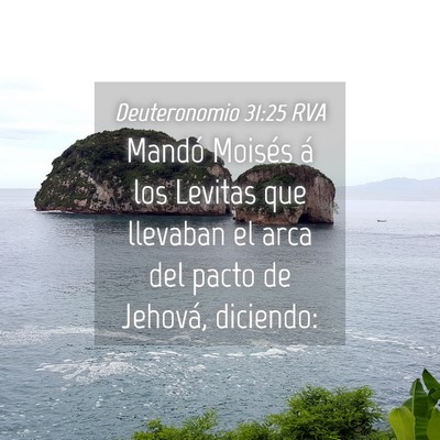 Picture 04 - Deuteronomio 31:25 RVA - Mandó Moisés á los Levitas que llevaban el - Bible Verse Picture