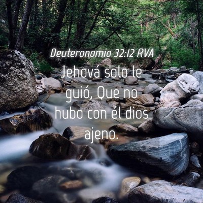 Picture 04 - Deuteronomio 32:12 RVA - Jehová solo le guió, Que no hubo con él dios - Bible Verse Picture