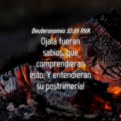 Picture 04 - Deuteronomio 32:29 RVA - Ojalá fueran sabios, que comprendieran esto, Y - Bible Verse Picture