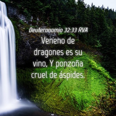 Picture 04 - Deuteronomio 32:33 RVA - Veneno de dragones es su vino, Y ponzoña cruel - Bible Verse Picture