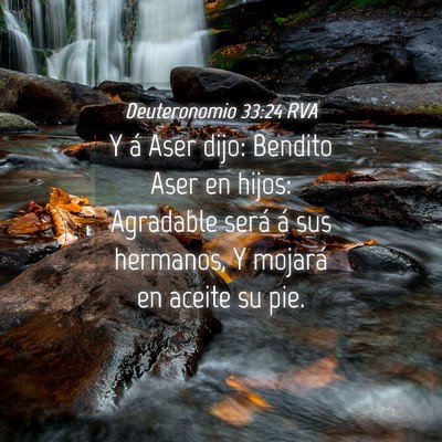 Picture 04 - Deuteronomio 33:24 RVA - Y á Aser dijo: Bendito Aser en hijos: Agradable - Bible Verse Picture
