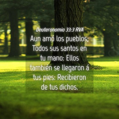 Picture 04 - Deuteronomio 33:3 RVA - Aun amó los pueblos; Todos sus santos en tu - Bible Verse Picture