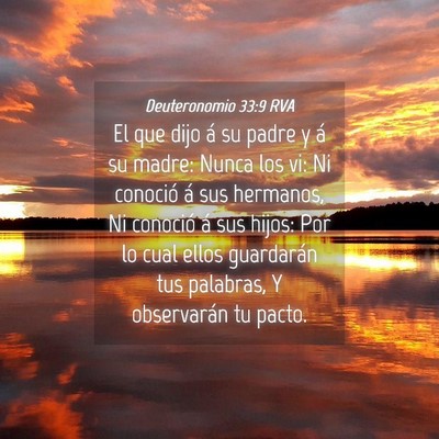 Picture 04 - Deuteronomio 33:9 RVA - El que dijo á su padre y á su madre: Nunca los - Bible Verse Picture