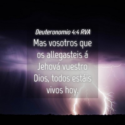 Picture 04 - Deuteronomio 4:4 RVA - Mas vosotros que os allegasteis á Jehová - Bible Verse Picture