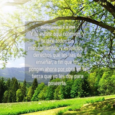 Picture 04 - Deuteronomio 5:31 RVA - Y tú estáte aquí conmigo, y te diré todos los - Bible Verse Picture