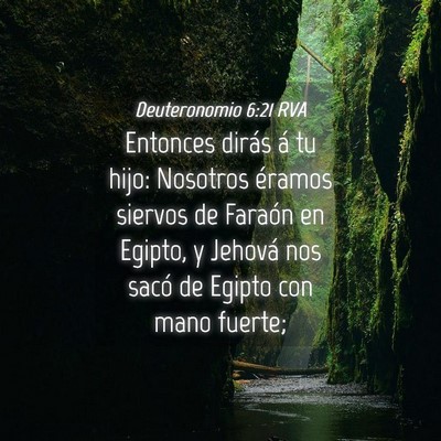 Picture 04 - Deuteronomio 6:21 RVA - Entonces dirás á tu hijo: Nosotros éramos - Bible Verse Picture