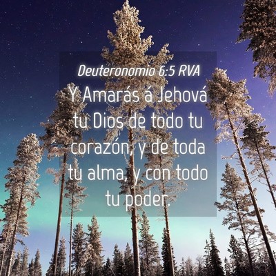 Picture 04 - Deuteronomio 6:5 RVA - Y Amarás á Jehová tu Dios de todo tu corazón, - Bible Verse Picture