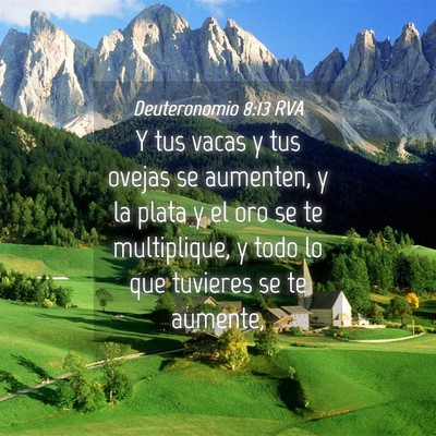 Picture 04 - Deuteronomio 8:13 RVA - Y tus vacas y tus ovejas se aumenten, y la plata - Bible Verse Picture