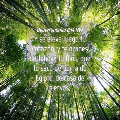 Picture 04 - Deuteronomio 8:14 RVA - Y se eleve luego tu corazón, y te olvides de - Bible Verse Picture