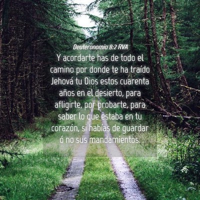 Picture 04 - Deuteronomio 8:2 RVA - Y acordarte has de todo el camino por donde te ha - Bible Verse Picture