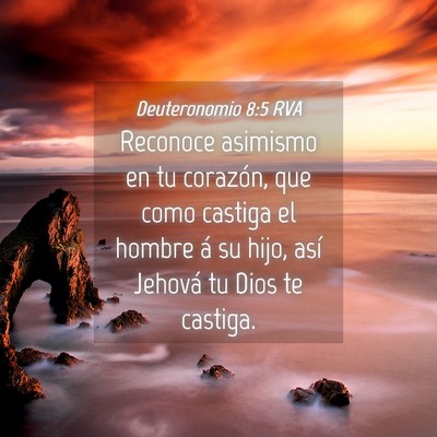 Picture 04 - Deuteronomio 8:5 RVA - Reconoce asimismo en tu corazón, que como - Bible Verse Picture