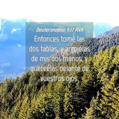 Picture 04 - Deuteronomio 9:17 RVA - Entonces tomé las dos tablas, y arrojélas de - Bible Verse Picture