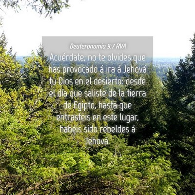 Picture 04 - Deuteronomio 9:7 RVA - Acuérdate, no te olvides que has provocado á - Bible Verse Picture