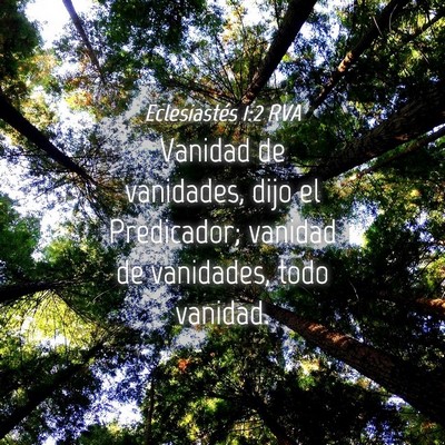 Picture 04 - Eclesiastés 1:2 RVA - Vanidad de vanidades, dijo el Predicador; vanidad - Bible Verse Picture