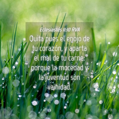Picture 04 - Eclesiastés 11:10 RVA - Quita pues el enojo de tu corazón, y aparta el - Bible Verse Picture