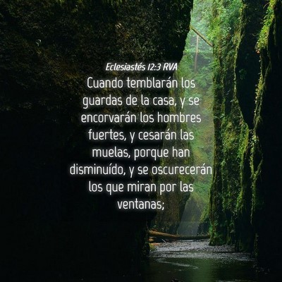 Picture 04 - Eclesiastés 12:3 RVA - Cuando temblarán los guardas de la casa, y se - Bible Verse Picture