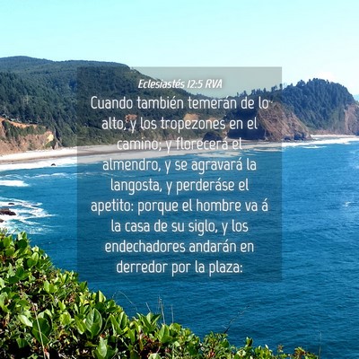 Picture 04 - Eclesiastés 12:5 RVA - Cuando también temerán de lo alto, y los - Bible Verse Picture
