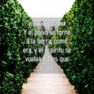 Picture 04 - Eclesiastés 12:7 RVA - Y el polvo se torne á la tierra, como era, y el - Bible Verse Picture