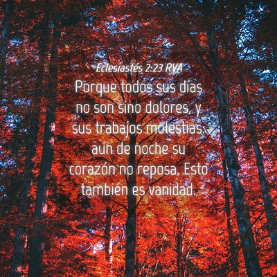 Picture 04 - Eclesiastés 2:23 RVA - Porque todos sus días no son sino dolores, y sus - Bible Verse Picture