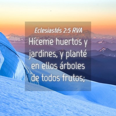 Picture 04 - Eclesiastés 2:5 RVA - Híceme huertos y jardines, y planté en ellos - Bible Verse Picture