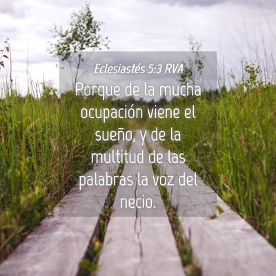 Picture 04 - Eclesiastés 5:3 RVA - Porque de la mucha ocupación viene el sueño, y - Bible Verse Picture