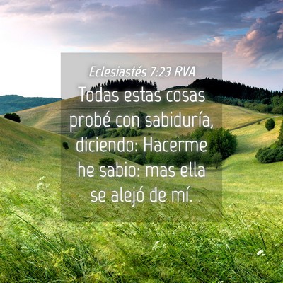 Picture 04 - Eclesiastés 7:23 RVA - Todas estas cosas probé con sabiduría, - Bible Verse Picture