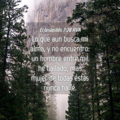 Picture 04 - Eclesiastés 7:28 RVA - Lo que aun busca mi alma, y no encuentro: un - Bible Verse Picture