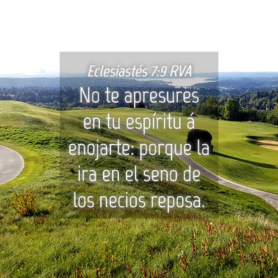 Picture 04 - Eclesiastés 7:9 RVA - No te apresures en tu espíritu á enojarte: - Bible Verse Picture