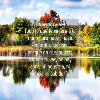 Picture 04 - Eclesiastés 9:10 RVA - Todo lo que te viniere á la mano para hacer, - Bible Verse Picture