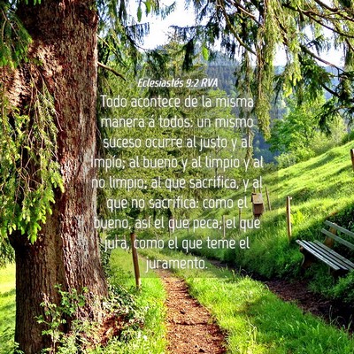 Picture 04 - Eclesiastés 9:2 RVA - Todo acontece de la misma manera á todos: un - Bible Verse Picture