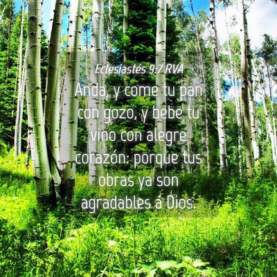 Picture 04 - Eclesiastés 9:7 RVA - Anda, y come tu pan con gozo, y bebe tu vino con - Bible Verse Picture
