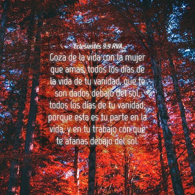 Picture 04 - Eclesiastés 9:9 RVA - Goza de la vida con la mujer que amas, todos los - Bible Verse Picture