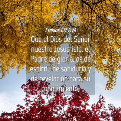Picture 04 - Efesios 1:17 RVA - Que el Dios del Señor nuestro Jesucristo, el - Bible Verse Picture