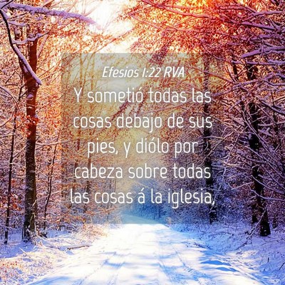 Picture 04 - Efesios 1:22 RVA - Y sometió todas las cosas debajo de sus pies, y - Bible Verse Picture