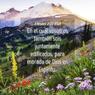 Picture 04 - Efesios 2:22 RVA - En el cual vosotros también sois juntamente - Bible Verse Picture