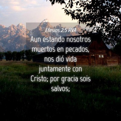 Picture 04 - Efesios 2:5 RVA - Aun estando nosotros muertos en pecados, nos dió - Bible Verse Picture