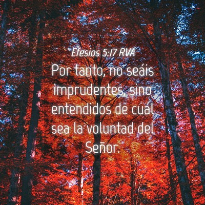 Picture 04 - Efesios 5:17 RVA - Por tanto, no seáis imprudentes, sino entendidos - Bible Verse Picture