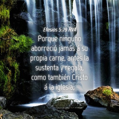 Picture 04 - Efesios 5:29 RVA - Porque ninguno aborreció jamás á su propia - Bible Verse Picture